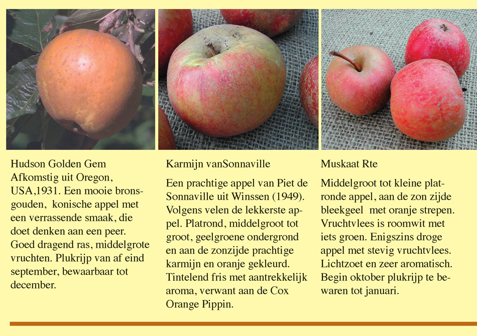 Brochure Fryske Frucht Page 14