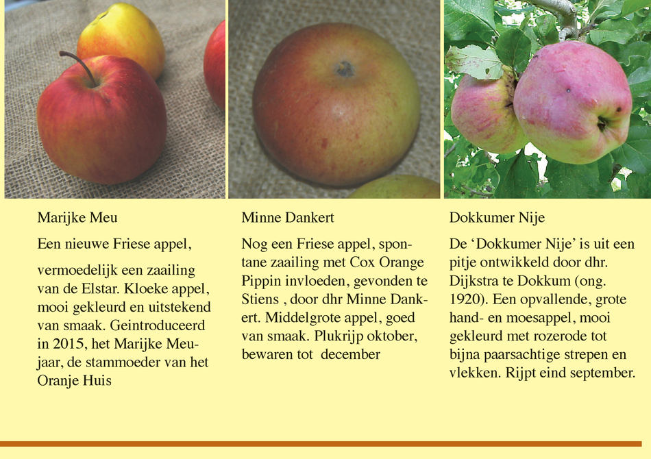 Brochure Fryske Frucht Page 05