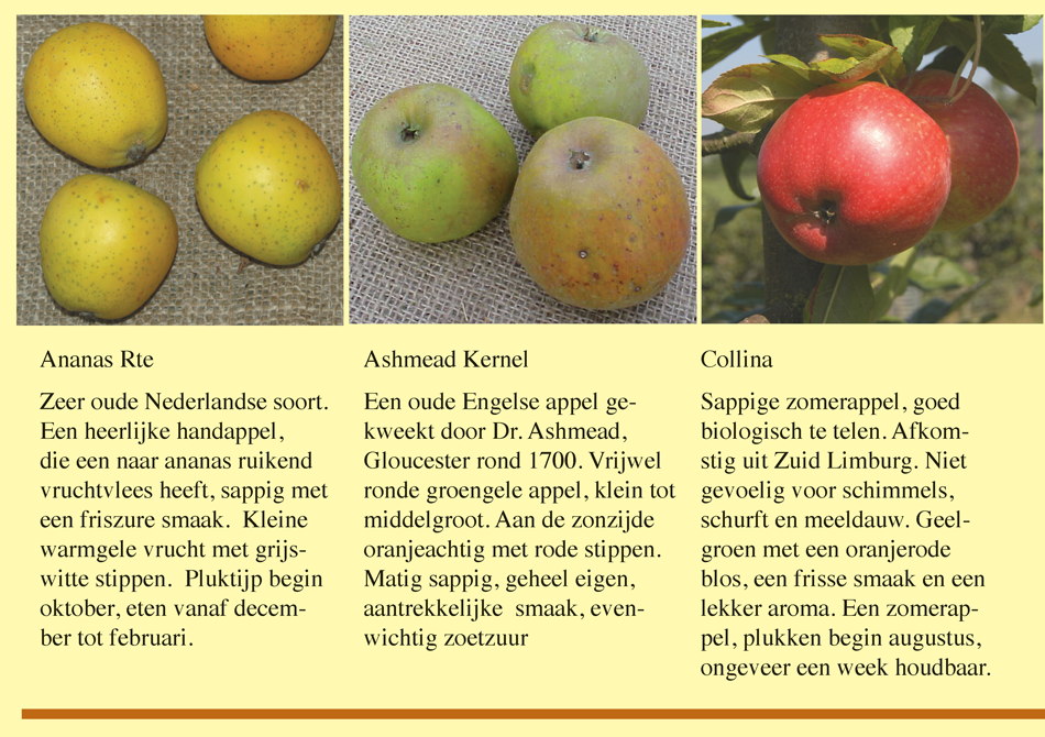 Brochure Fryske Frucht Page 12
