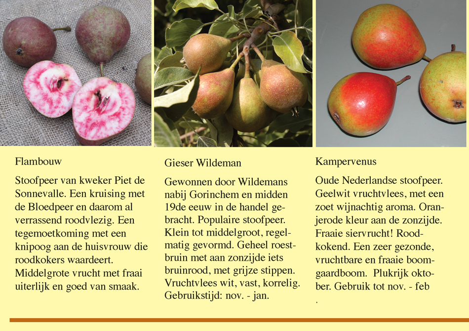 Brochure Fryske Frucht Page 10