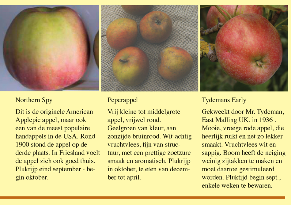Brochure Fryske Frucht Page 15