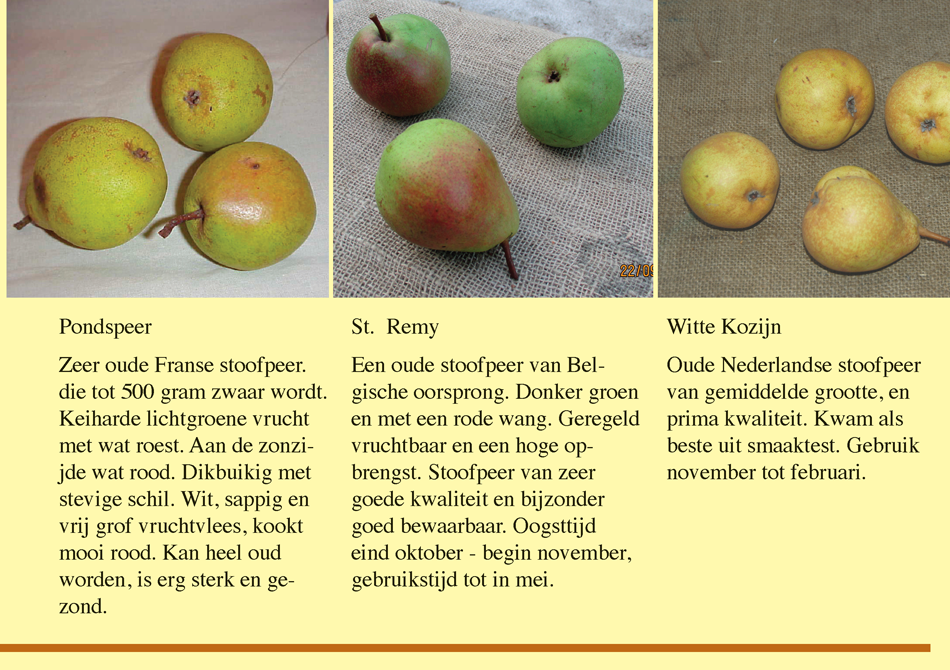 Brochure Fryske Frucht Page 11