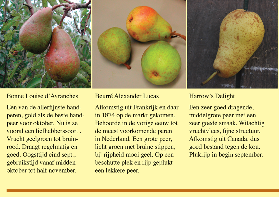 Brochure Fryske Frucht Page 08